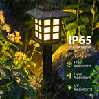 8 Pack Solar Pathway Garden Lights