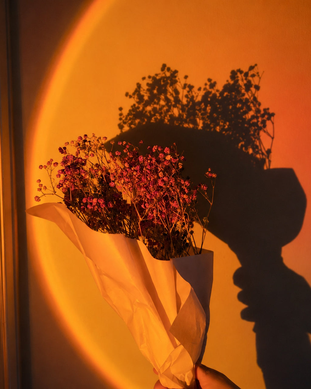 Sunset Light LED Projector