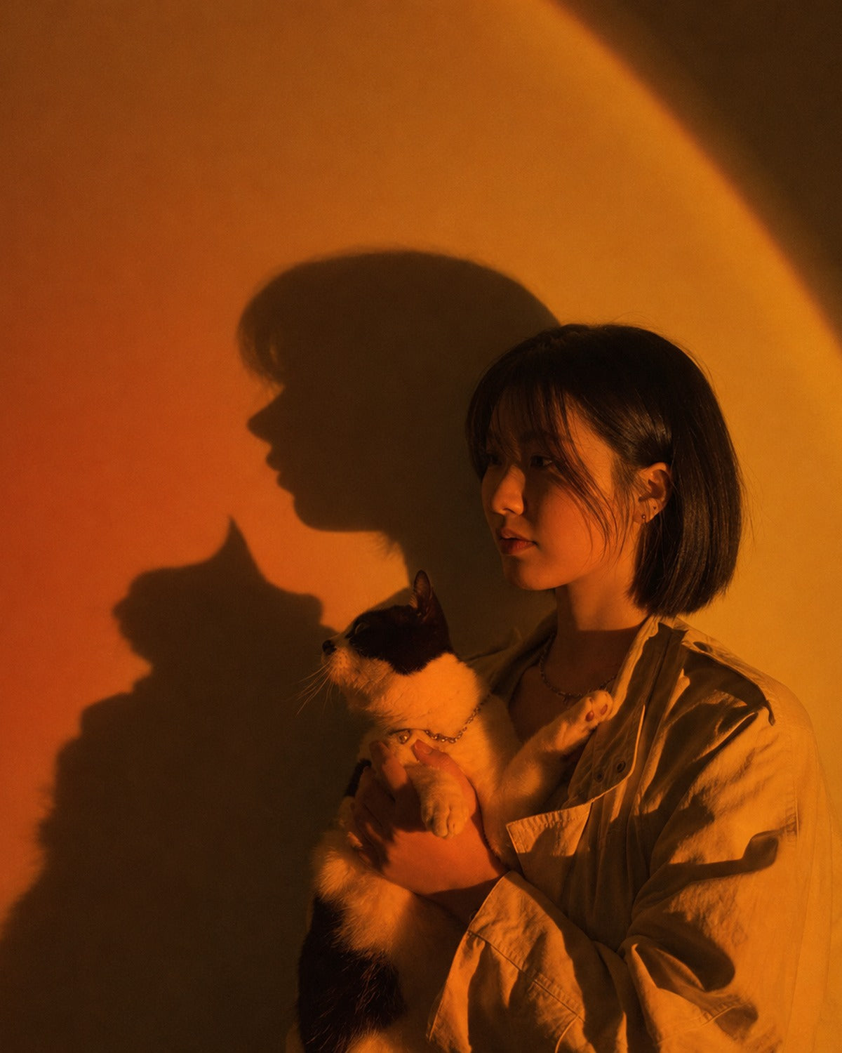 Sunset Light LED Projector